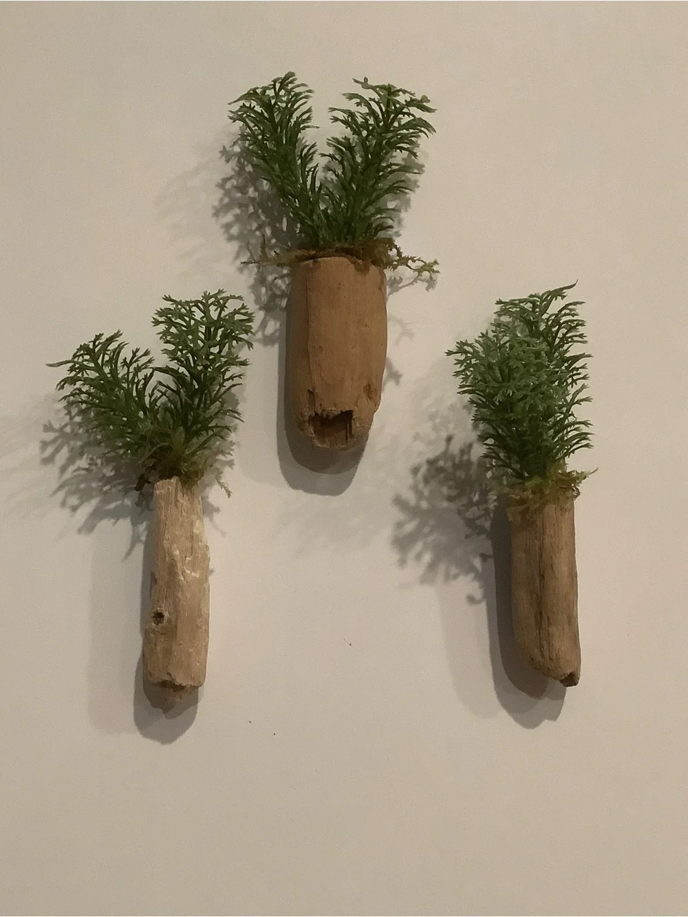 Driftwood Art, Driftwood Faux Plant Magnets, Driftwood Faux Greenery Coastal Art
